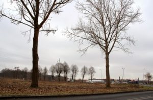 Tereny inwestycyjne przy ulicy Kołobrzeskiej