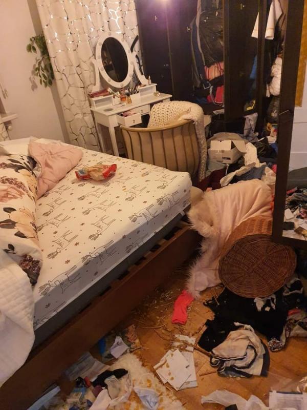 Pilny apel o pomoc w ustaleniu sprawców bulwersującej kradzieży z włamaniem!