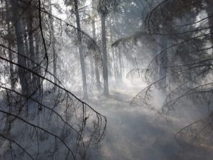 Seria ogromnych pożarów w powiecie białogardzkim  – dziesiątki strażaków walczy z żywiołem!