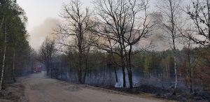 Ogromny pożar, z którym walczyło 26 zastępów straży pożarnej w tym ponad setka strażaków ! ZDJĘCIA