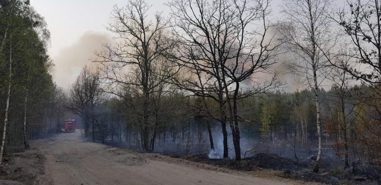Ogromny pożar, z którym walczyło 26 zastępów straży pożarnej w tym ponad setka strażaków ! ZDJĘCIA