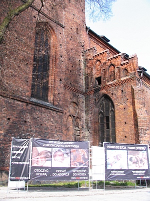 Kontrowersyjna Kampania
