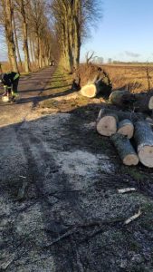 Powalone drzewa, uszkodzone samochody po porannej wichurze