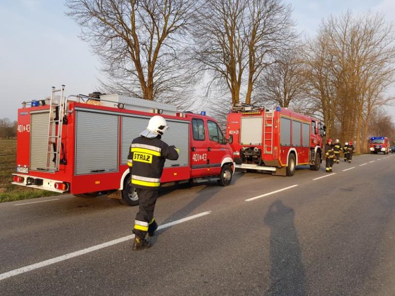 Wypadek pod Białogardem – Tir wpadł do rowu i uderzył w drzewo!