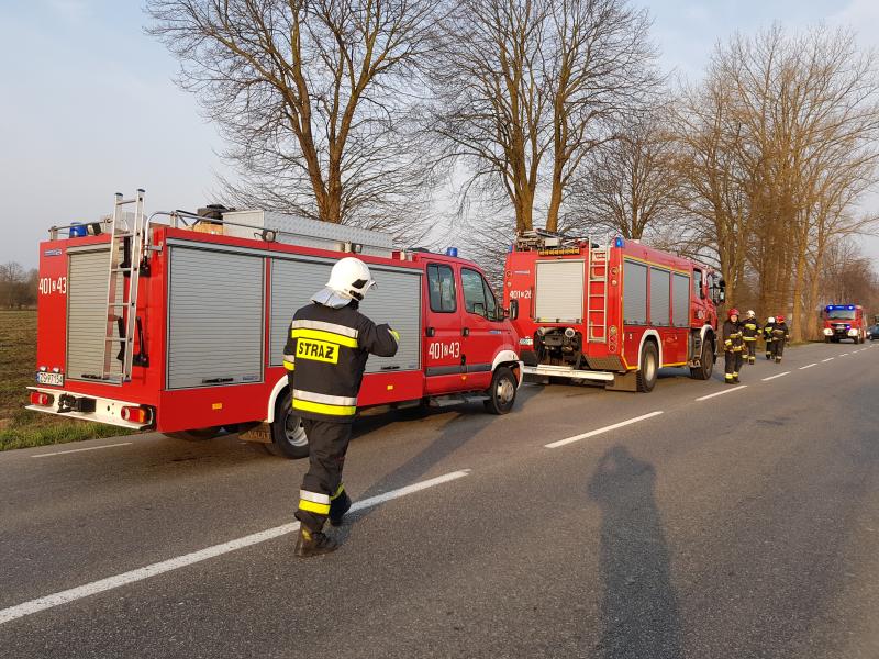 Wypadek pod Białogardem – Tir wpadł do rowu i uderzył w drzewo!