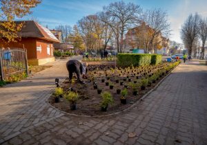 Upiększenie  skweru na ul. 1 Maja