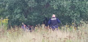 Makabryczne odkrycie w Białogardzie! Znaleziono ludzkie zwłoki!