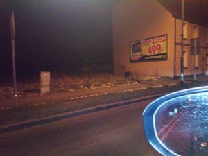 Dzik spaceruje po Białogardzie!
