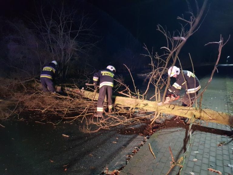 Silne porywy wiatru sieją spustoszenie w powiecie białogardzkim.