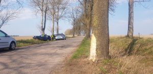 Wypadek pod Białogardem – kompletnie pijani uderzyli w drzewo. ZDJĘCIA