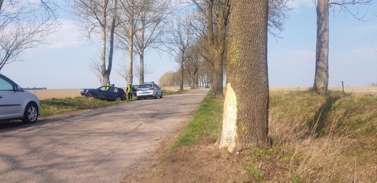 Wypadek pod Białogardem – kompletnie pijani uderzyli w drzewo. ZDJĘCIA