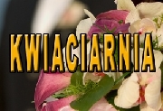 Alicja Terlecka KWIACIARNIA